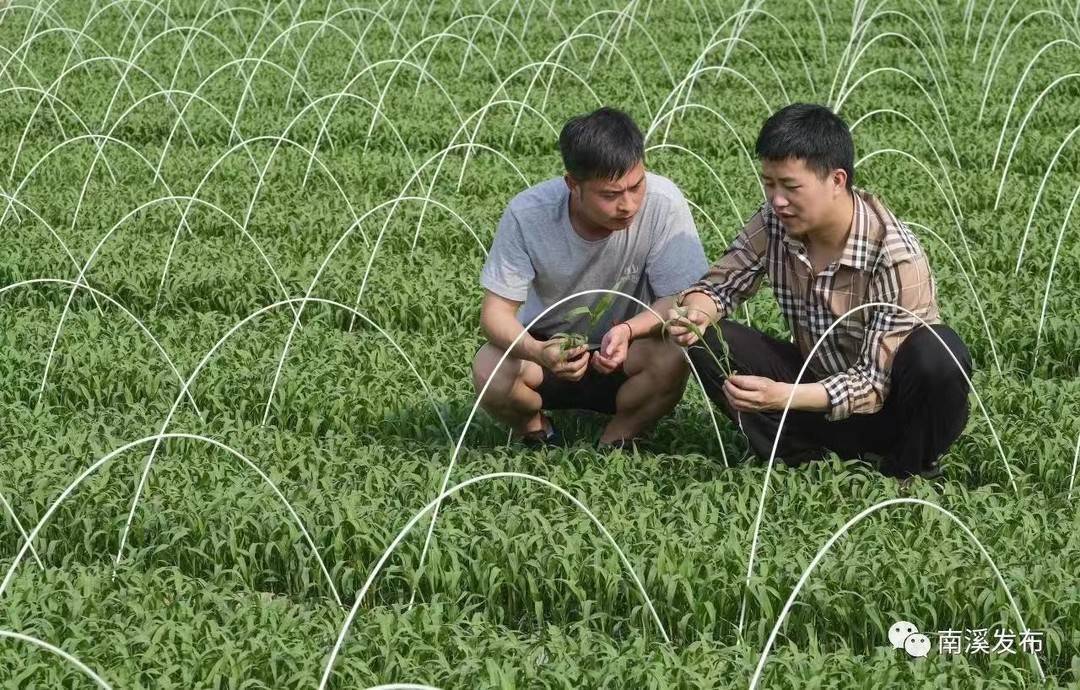 新澳資料免費(fèi)精準(zhǔn)期期準(zhǔn),專(zhuān)家意見(jiàn)法案_仿真版81.<strong><mark>48</mark></strong>1