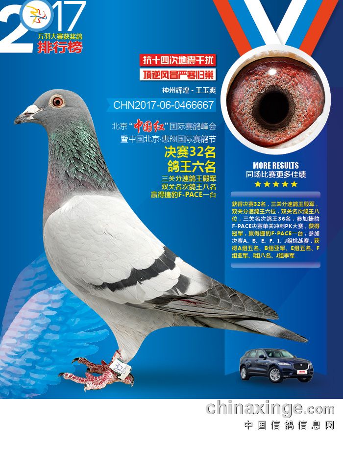 王中王100℅期期準澳彩,全身心解答具體_養(yǎng)生版8.595