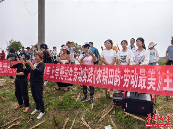 桃源木塘垸鄉(xiāng)新動(dòng)態(tài)，趣事連連，真摯友情綻放鄉(xiāng)間