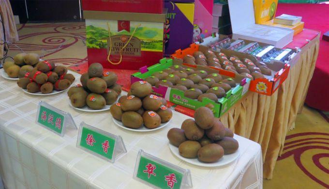 嘉興對接上海最新進(jìn)展，城市崛起中的自信與成就感展現(xiàn)新面貌