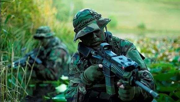 特種部隊(duì)小組最新版本，時(shí)代背景下的英勇先鋒