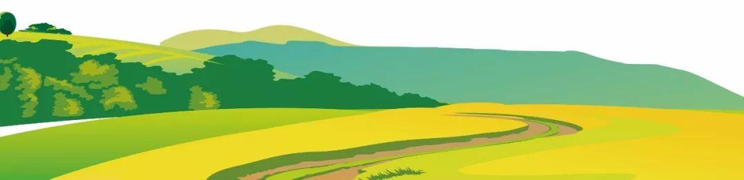 藍(lán)田縣未來藍(lán)圖，最新發(fā)展規(guī)劃揭秘