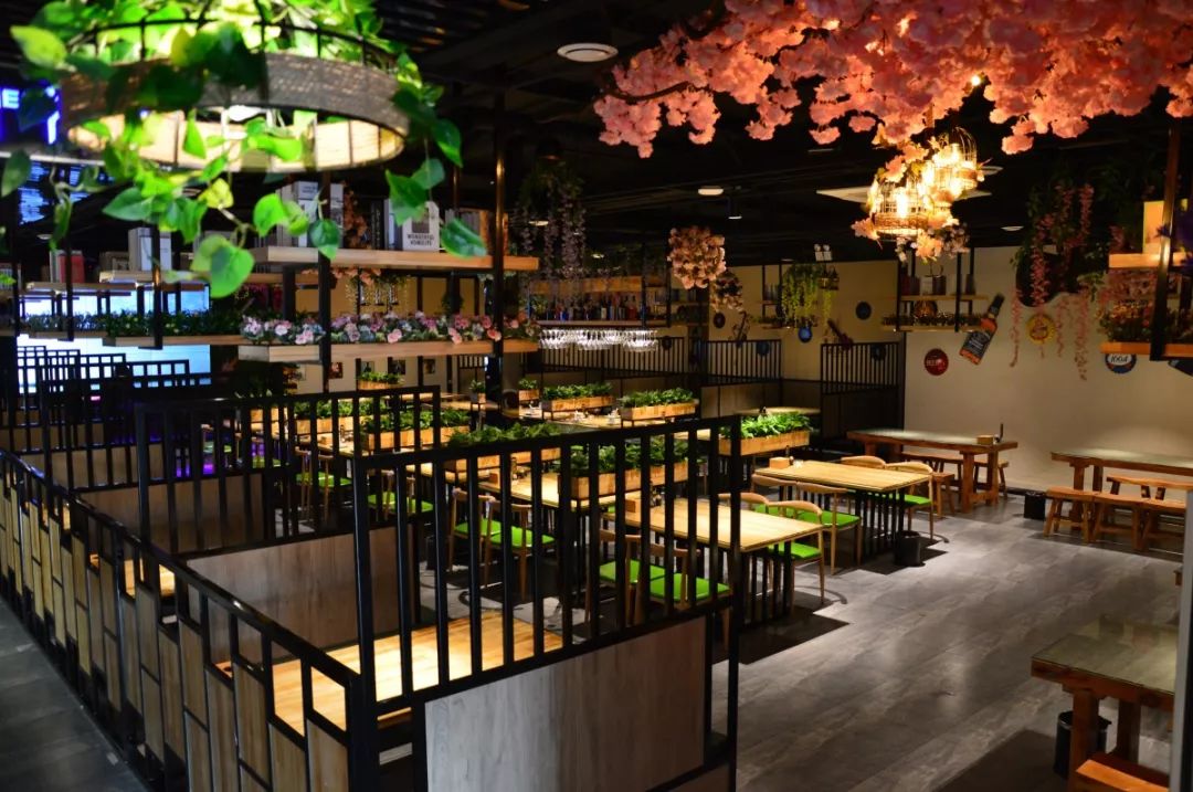 中餐廳最新一期音樂，熱門旋律與節(jié)目魅力的完美交融