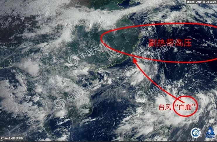 最新臺(tái)風(fēng)路線動(dòng)畫，風(fēng)云變幻，你我同行成長(zhǎng)之路