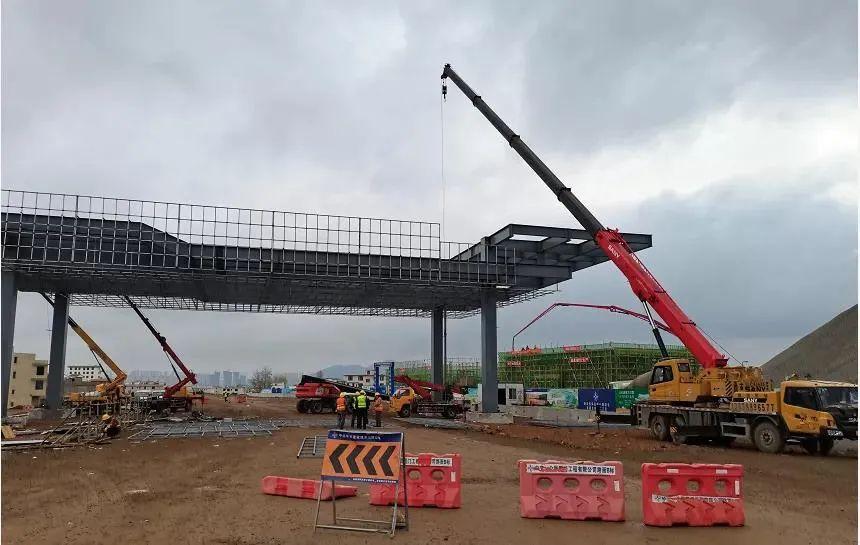 深度解析與探討，最新元龍劇情分析