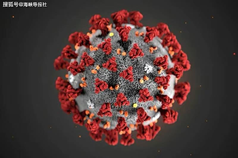 最新A型病毒，日常溫馨防護(hù)須知