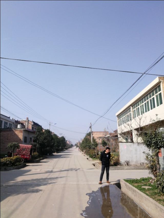 周至縣最新動態(tài)，發(fā)展脈搏與時代步伐的交融進展