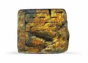 余厚蜀最新動(dòng)態(tài)，科技前沿探索與行業(yè)創(chuàng)新引領(lǐng)