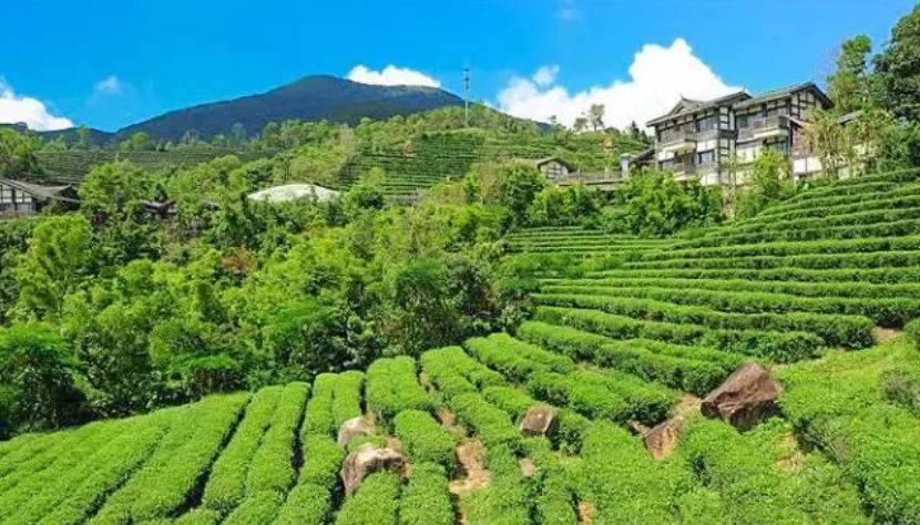深圳驚喜活動(dòng)溫情之旅，日常中的特別瞬間