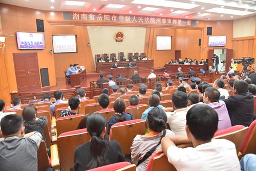 聶祖峰最新探索之旅，自然美景中的心靈尋覓與平和之境