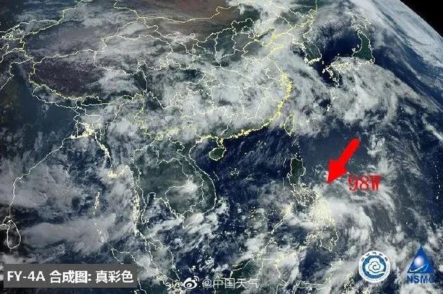 臺風鸚鵡的最新動態(tài)，逆風翱翔的力量與學習魅力