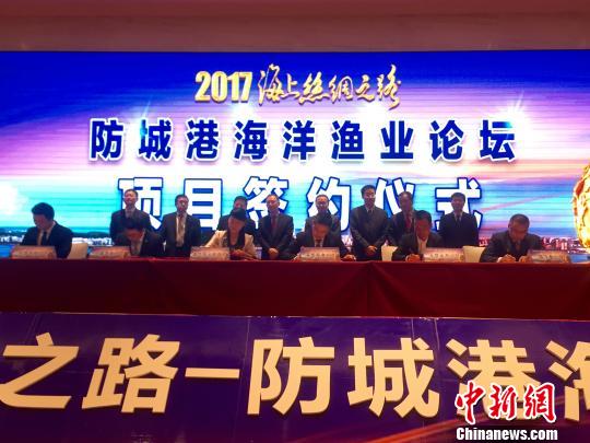 防誠(chéng)港最新,防誠(chéng)港的最新發(fā)展，機(jī)遇與挑戰(zhàn)并存