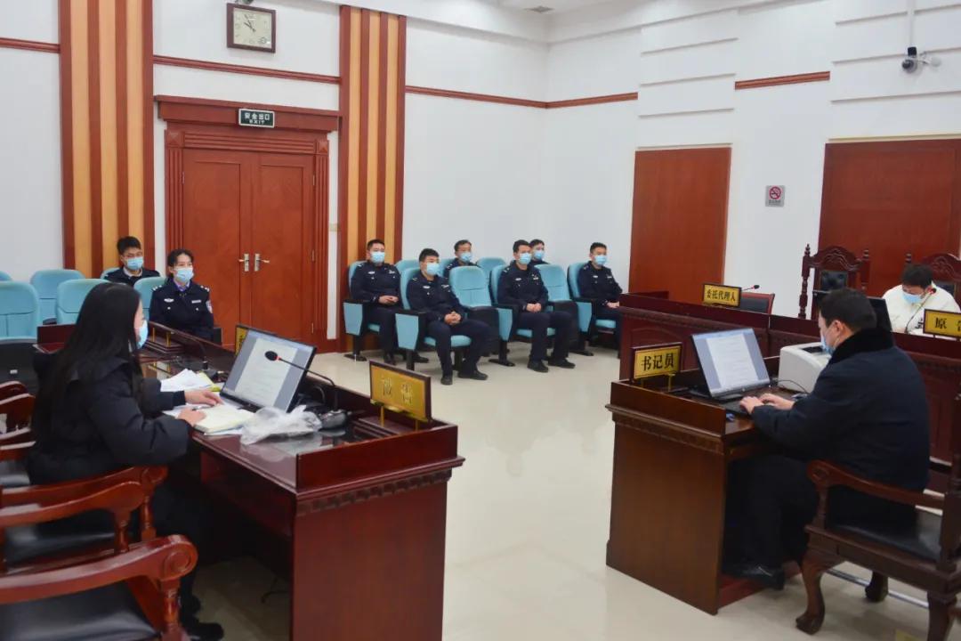 憲法案件最新動態(tài)，小巷深處的情懷與特色小店的奇遇