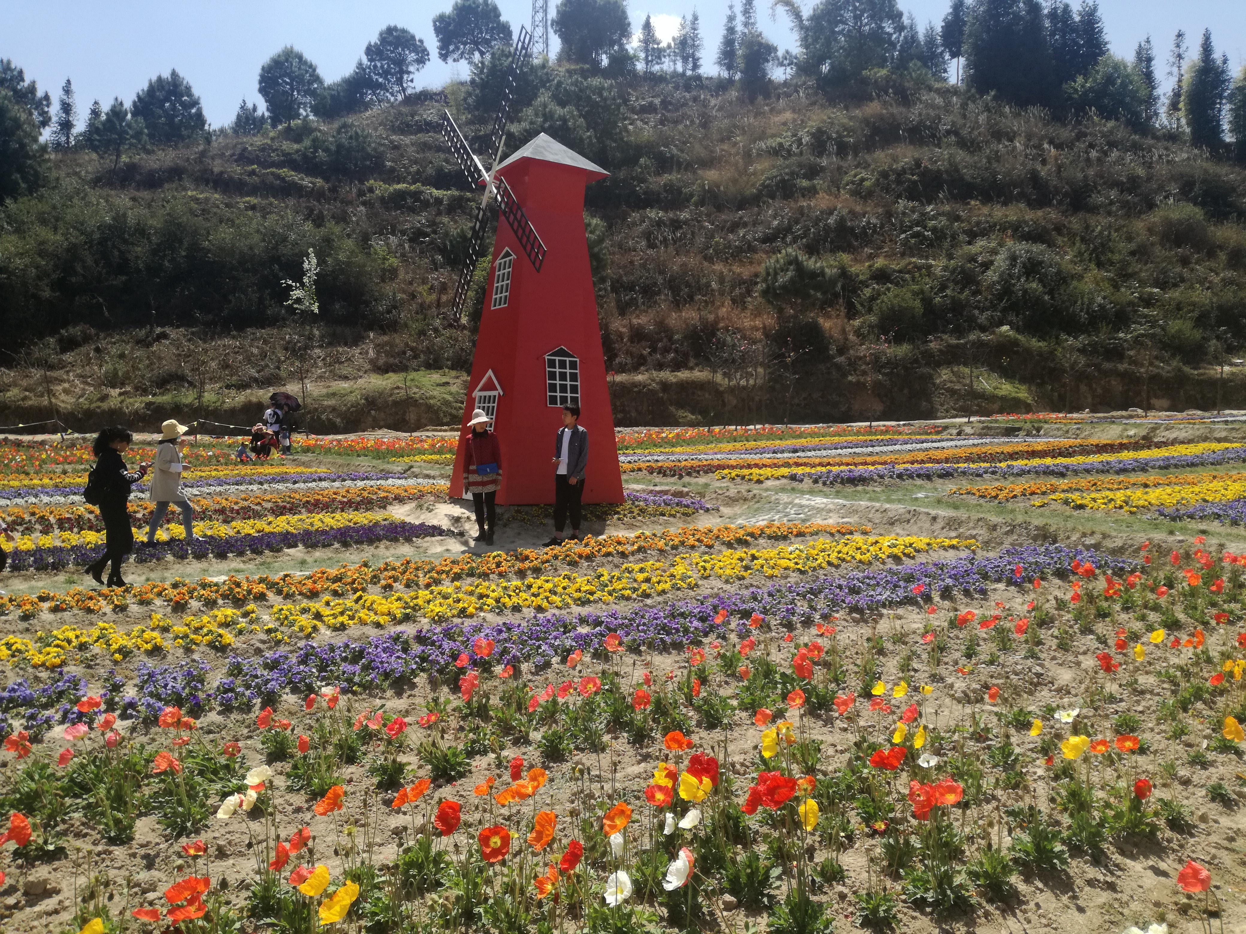 臨滄市最新探索，自然美景之旅，尋找內(nèi)心平和的旅程