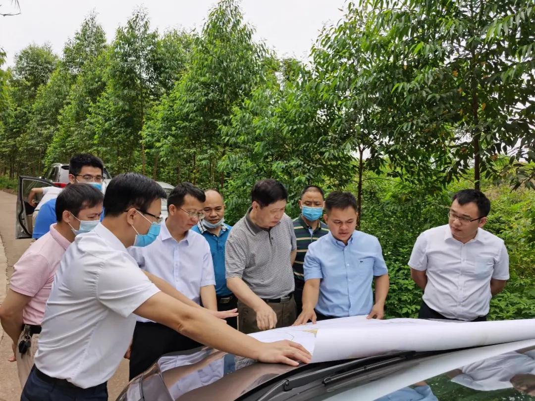 南寧龍象谷最新資訊，游玩指南與技能學(xué)習(xí)步驟全解析