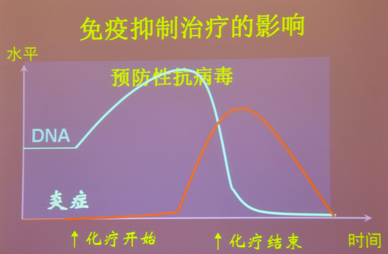 肝炎新進(jìn)展揭秘，小巷深處的秘密小店探索
