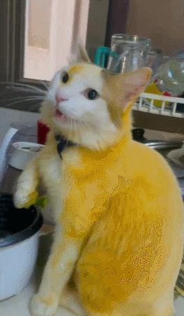 男友最新動態(tài)，科技巔峰之作，引領未來生活新紀元風潮