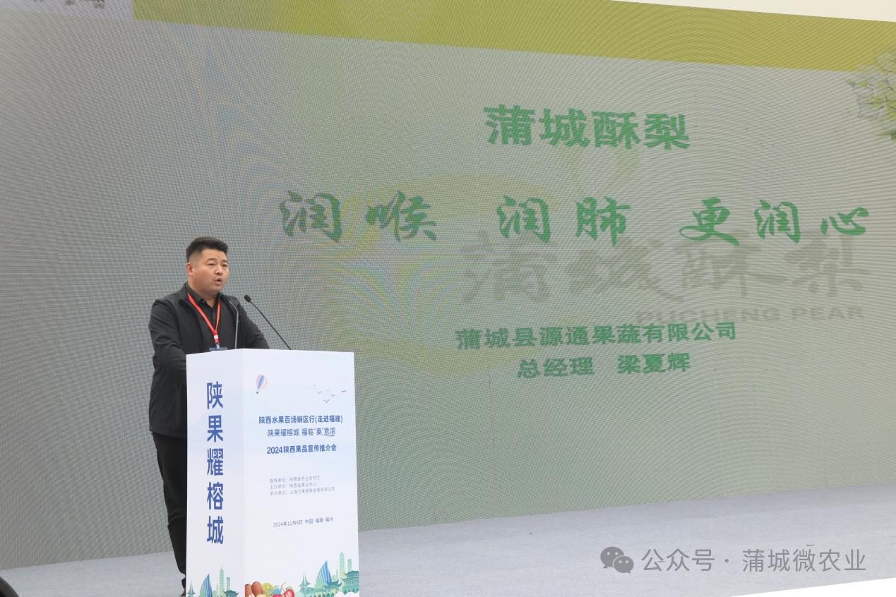 梨城資訊速遞，探索梨城新動(dòng)態(tài)與發(fā)展趨勢(shì)