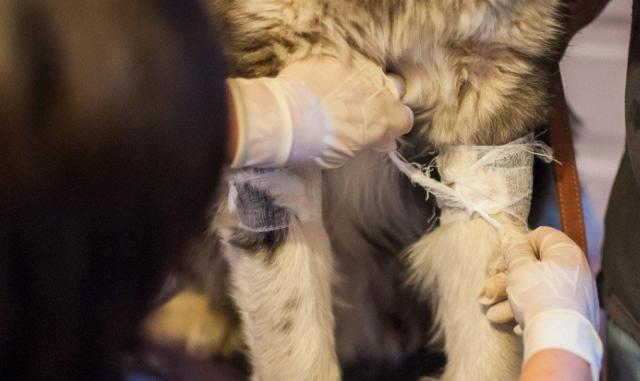 蘇州近期街邊情況，自然美景的心靈之旅體驗(yàn)紀(jì)實(shí)