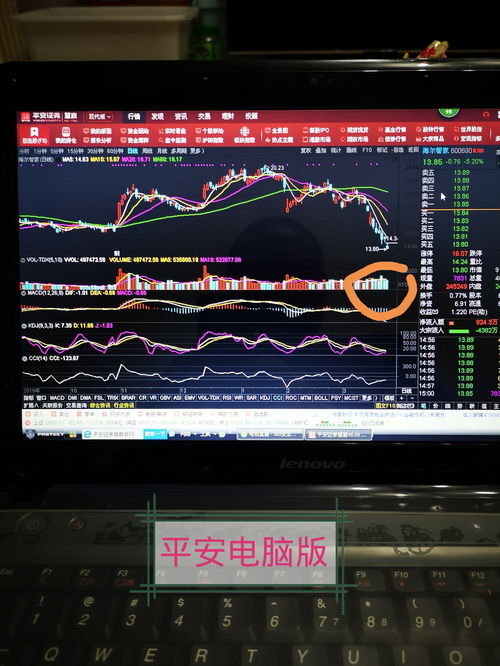 股票電腦版，開啟溫馨的股市之旅