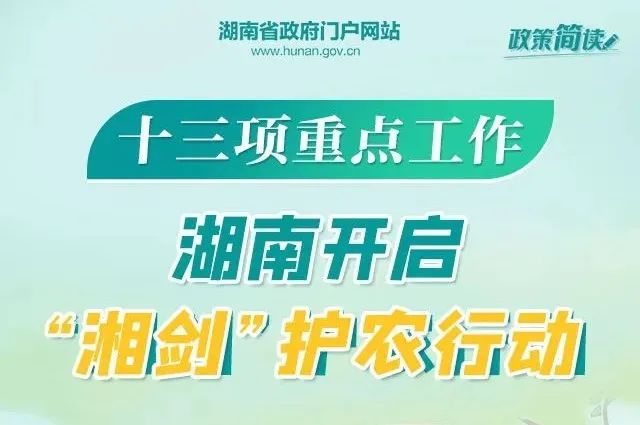鋁業(yè)巨頭山鋁南定舉辦最新職位招聘盛宴，人才招募火熱進行中！