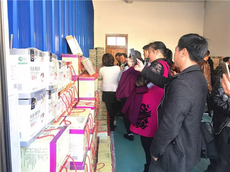 最新職業(yè)資訊，洞悉行業(yè)趨勢(shì)與人才需求洞察