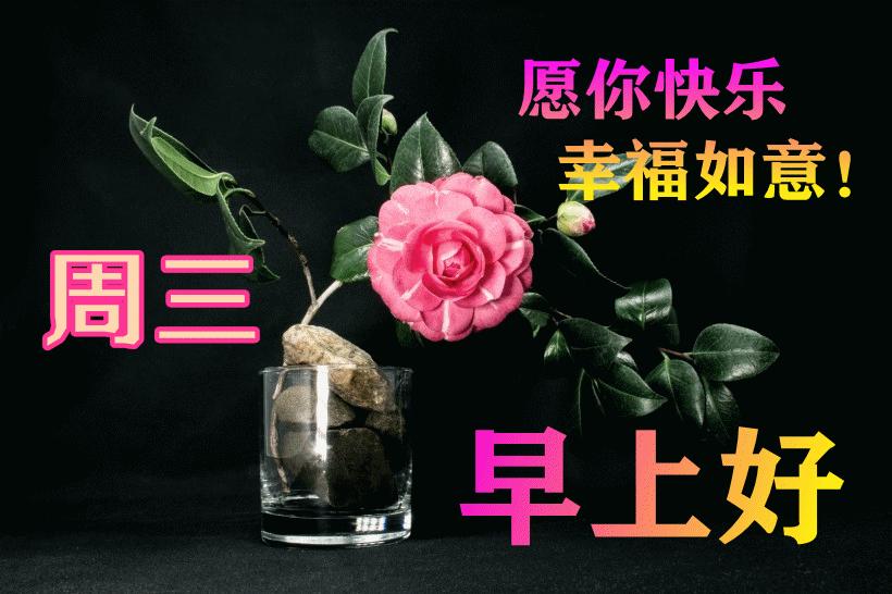 最新早晨問候動(dòng)態(tài)表情包，溫馨問候，從表情開始！