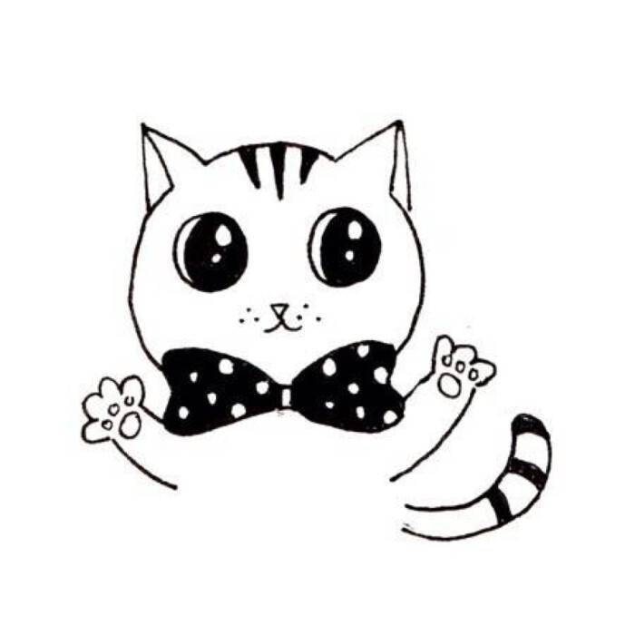 喵咪動漫，初學者與進階用戶的技能學習指南