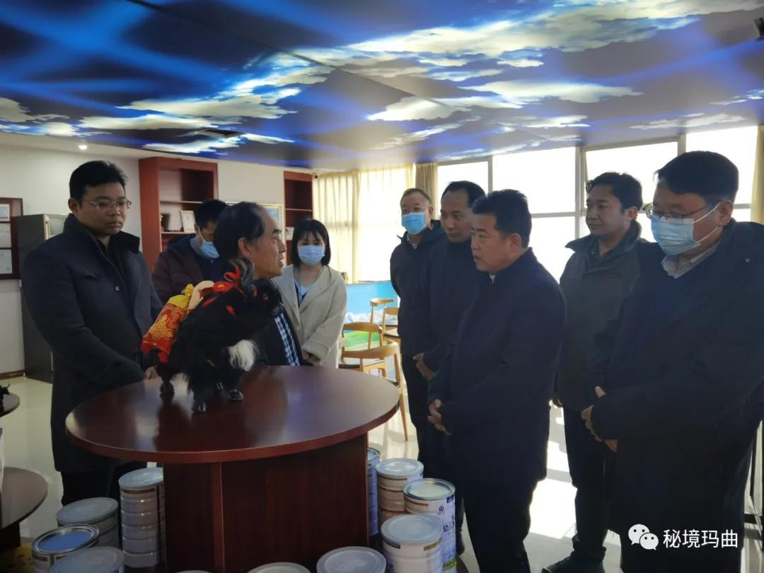 高原之寶上市，學(xué)習(xí)、蛻變與自信的輝煌之旅