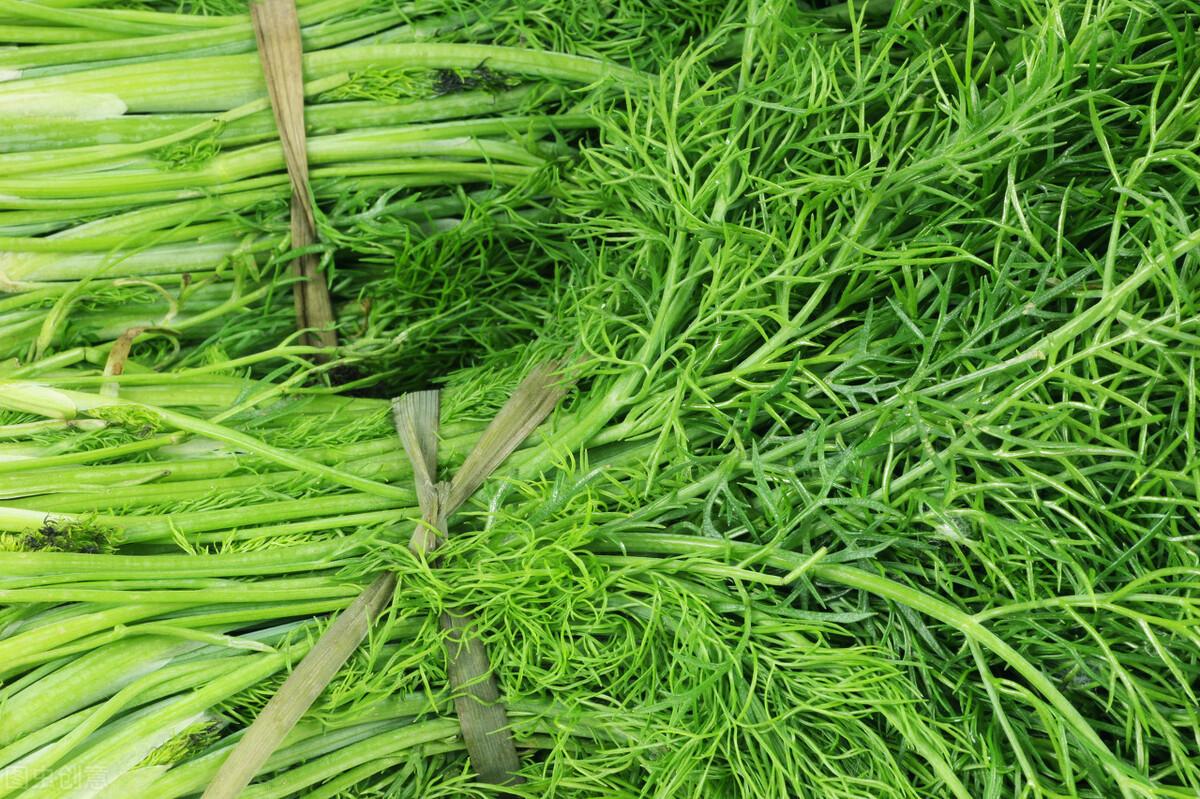 茴香價(jià)格動(dòng)態(tài)，香氣變化與你的關(guān)聯(lián)