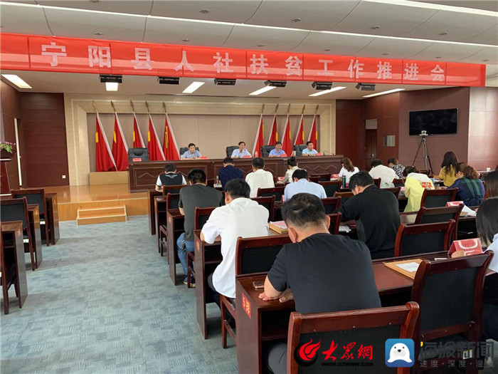 寧陽(yáng)網(wǎng)最新資訊，城市中的溫情日常