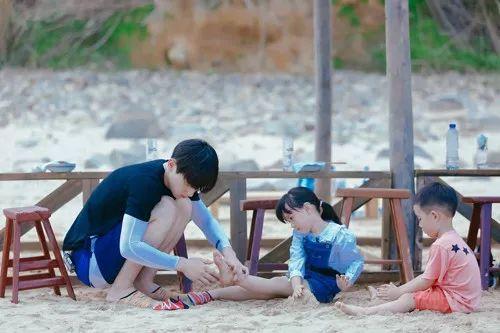 最新TV版資訊深度剖析，電視劇熱潮的影響力與影響