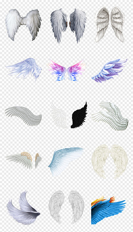 動(dòng)漫翅膀繪制指南，從白紙起步，繪出飛翔的勵(lì)志翅膀！