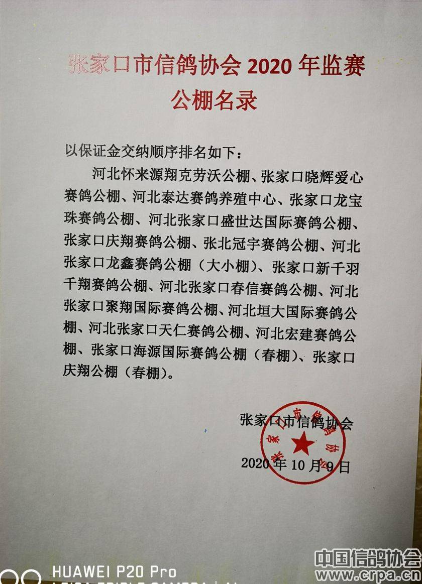 東光信鴿協(xié)會最新通告，小巷深處的獨特風(fēng)味揭秘與信鴿活動更新通知