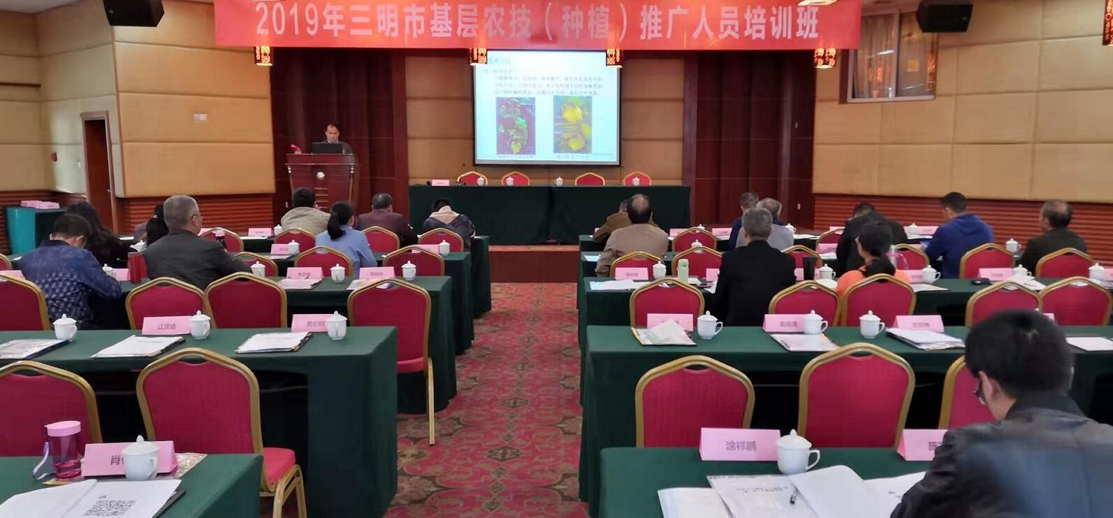 豇豆最新，廚房中的友情與家的溫馨