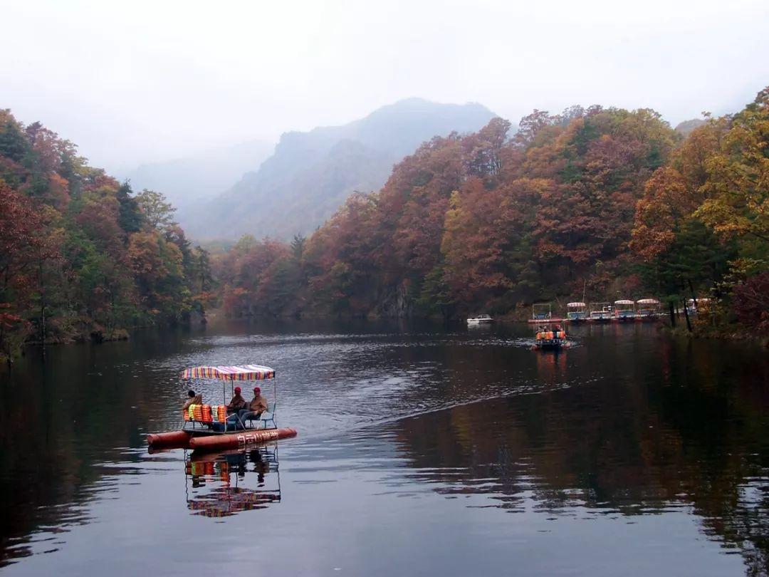 心動瞬間，愛情與生活的美妙交匯