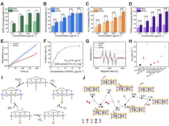 頭發(fā)再生研究新動態(tài),頭發(fā)再生研究新動態(tài)，小巷深處的秘密秀發(fā)實驗室