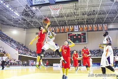 南陽(yáng)市區(qū)面積最新數(shù)據(jù)解析及概況