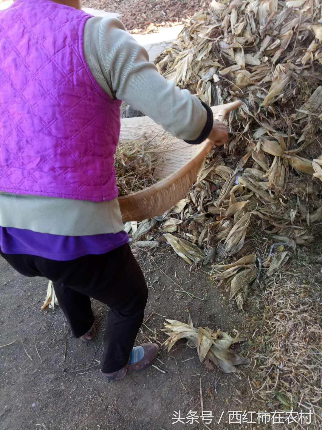 彬縣撤縣設(shè)區(qū)最新進(jìn)展，最新動(dòng)態(tài)更新