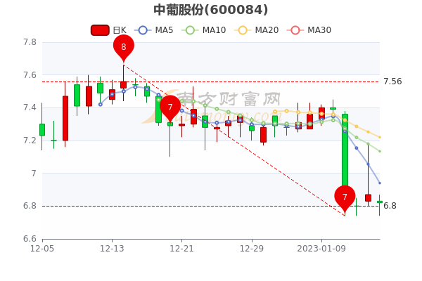 中葡股份股票行情深度分析與展望，未來走勢展望及行業(yè)前景預測。