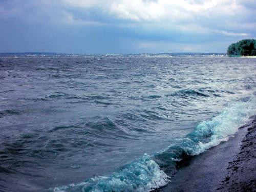 佳木斯新版，時代印記與變遷的見證者