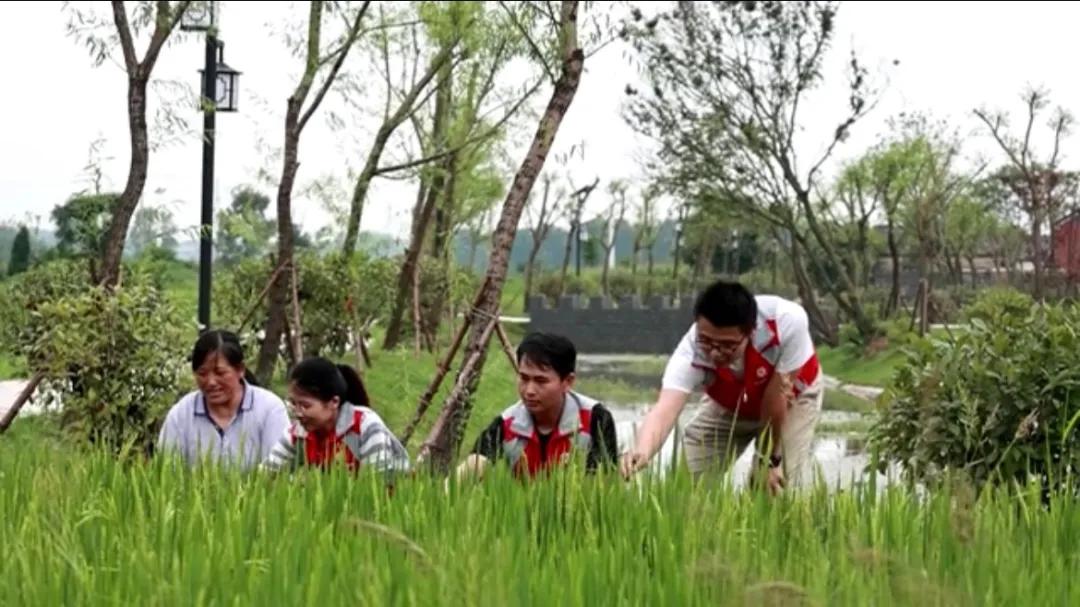曲陽縣城最新招聘信息揭秘，小巷中的獨特小店等你來探索！