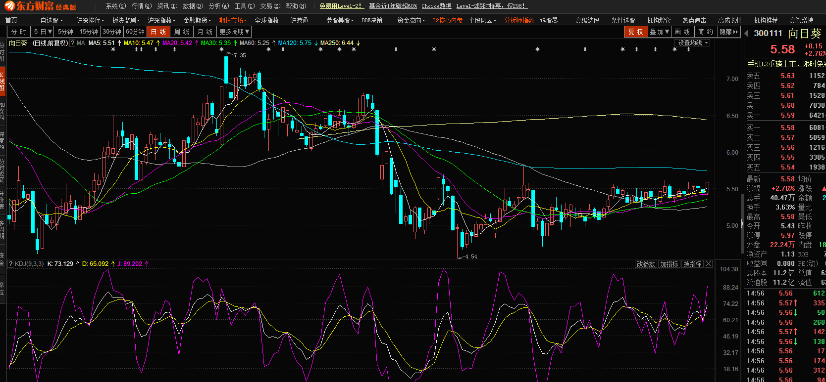 股市小天地，友情大天地——我與股票300141的日常故事分享