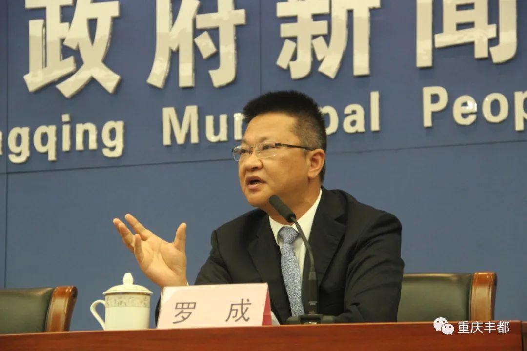 豐都新聞快訊，日常溫情與陪伴的瞬間