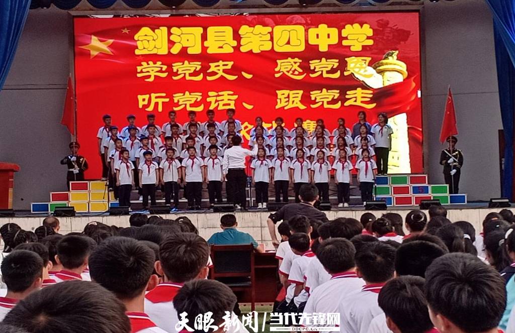 青蛙與狗的泳池挑戰(zhàn)，揭秘游泳比賽背后的故事，青蛙夢工廠的秘密探索
