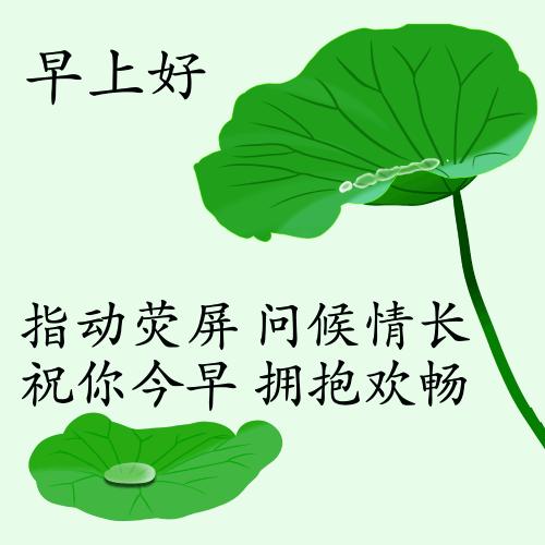 最新疫情動(dòng)態(tài)下的自然探索之旅，追尋內(nèi)心的平和與寧靜
