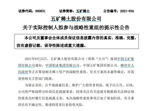 南方稀土股票，小巷中的隱秘寶藏，探索投資魅力的未知之旅