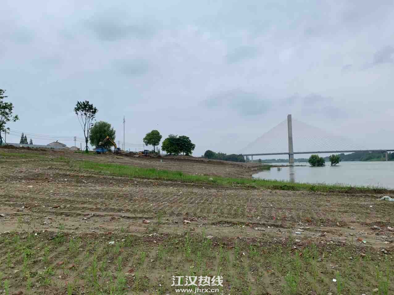 仙桃江灘公園最新動(dòng)態(tài)更新