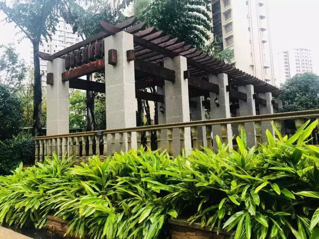 陽光江山金岸最新動態(tài)揭秘，全面指南與步驟詳解