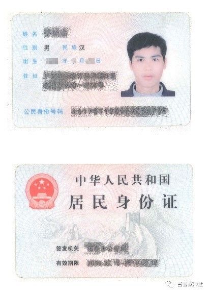 最新證照，友情與陪伴的溫馨故事之旅